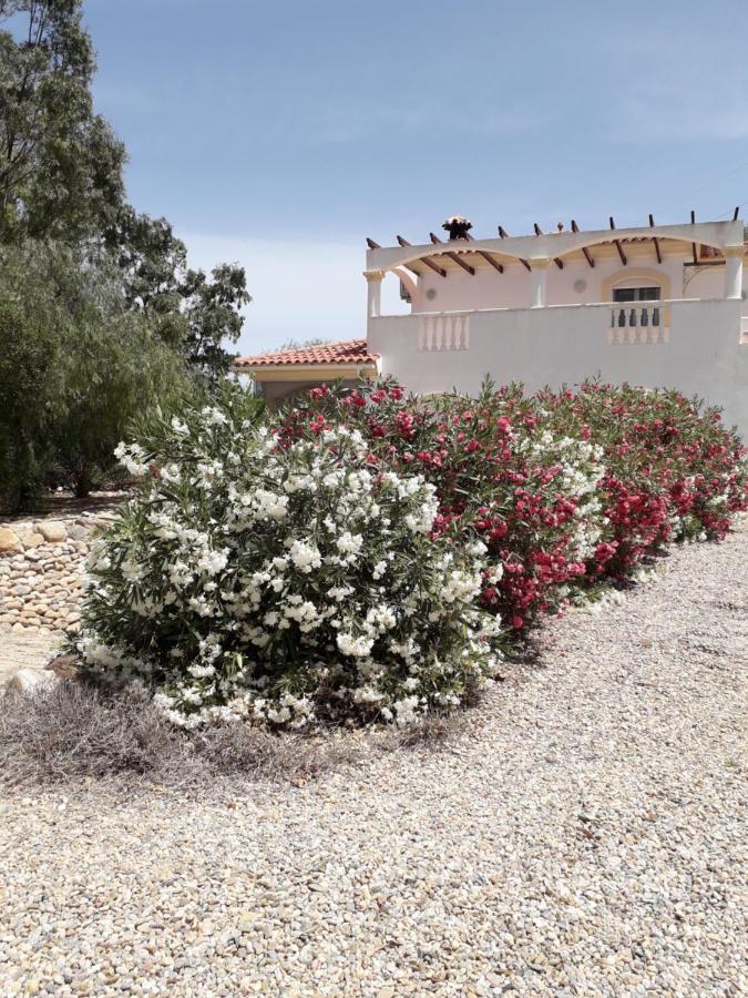 Casa Gregory Villa Turre Bagian luar foto
