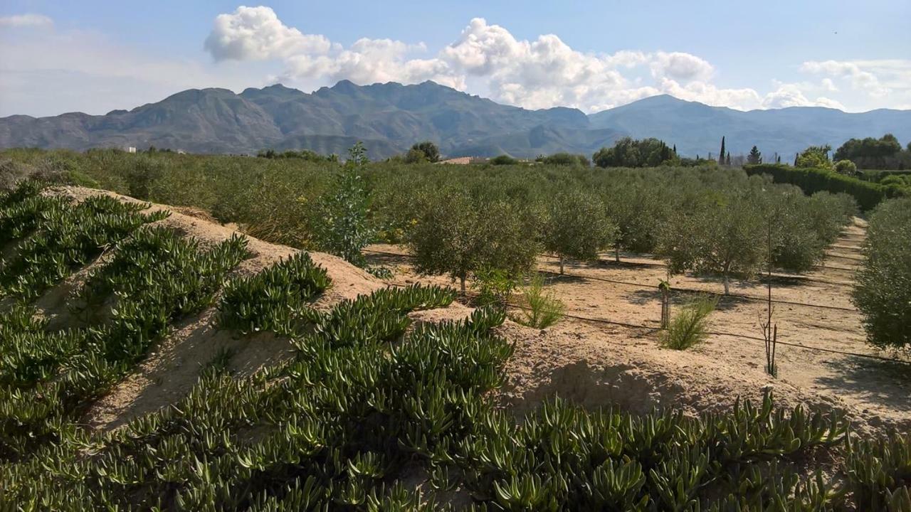 Casa Gregory Villa Turre Bagian luar foto